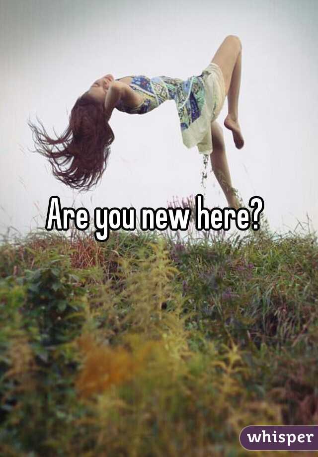 Are you new here? 