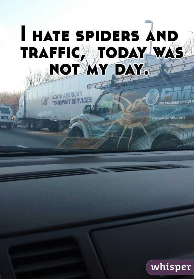 I hate spiders and traffic,  today was not my day. 