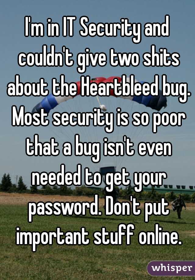 I'm in IT Security and couldn't give two shits about the Heartbleed bug. Most security is so poor that a bug isn't even needed to get your password. Don't put important stuff online.