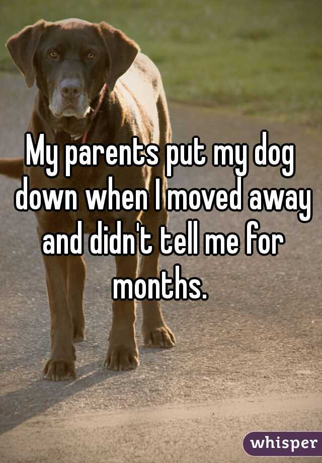 My parents put my dog down when I moved away and didn't tell me for months. 