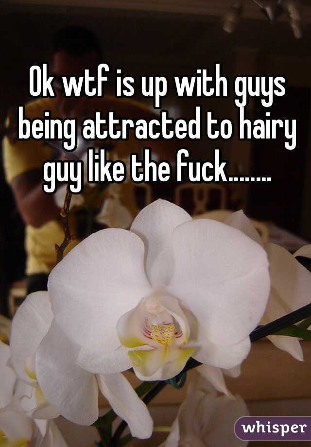 Ok wtf is up with guys being attracted to hairy guy like the fuck........