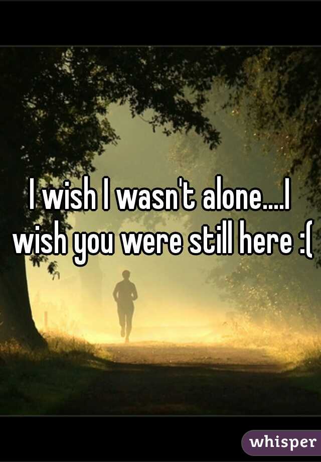 I wish I wasn't alone....I wish you were still here :(