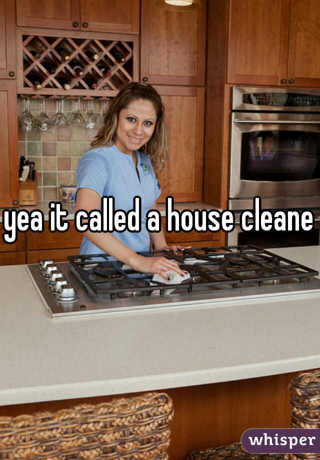 yea it called a house cleaner
