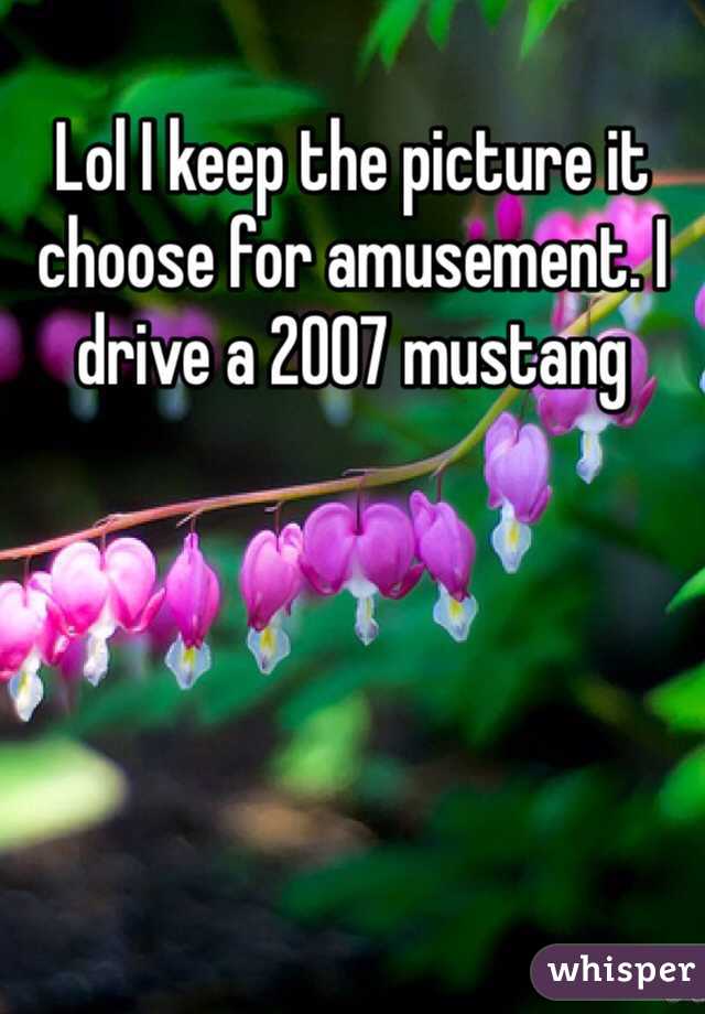 Lol I keep the picture it choose for amusement. I drive a 2007 mustang 