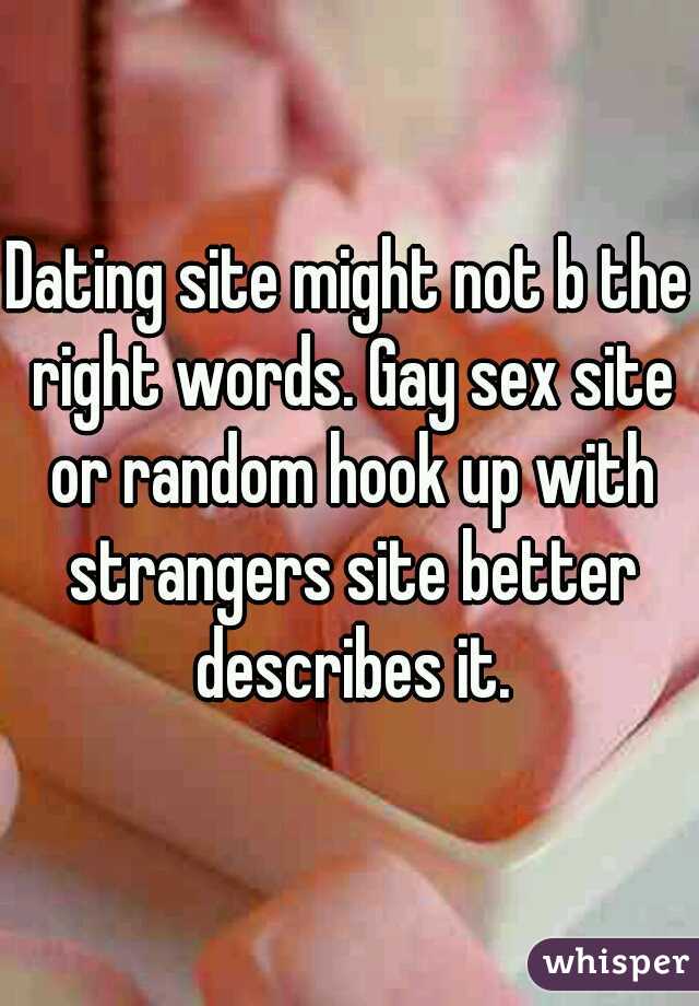 Dating site might not b the right words. Gay sex site or random hook up with strangers site better describes it.