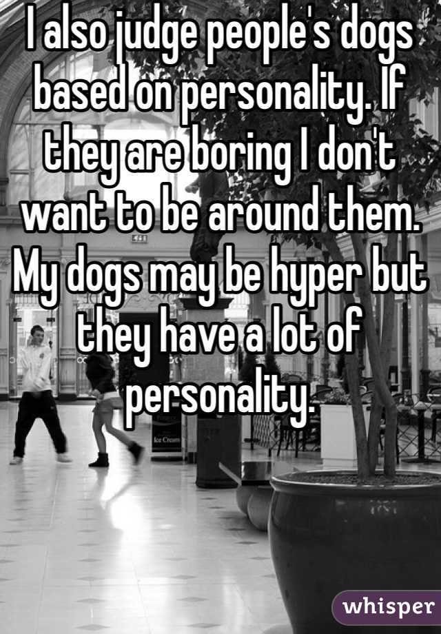 I also judge people's dogs based on personality. If they are boring I don't want to be around them. My dogs may be hyper but they have a lot of personality. 