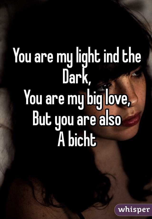 You are my light ind the Dark,
You are my big love,
But you are also
A bicht  