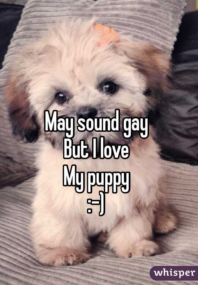May sound gay
But I love 
My puppy 
:-)