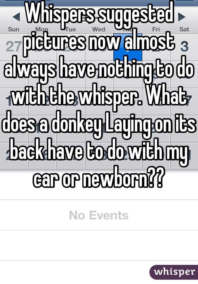 Whispers suggested pictures now almost always have nothing to do with the whisper. What does a donkey Laying on its back have to do with my car or newborn??