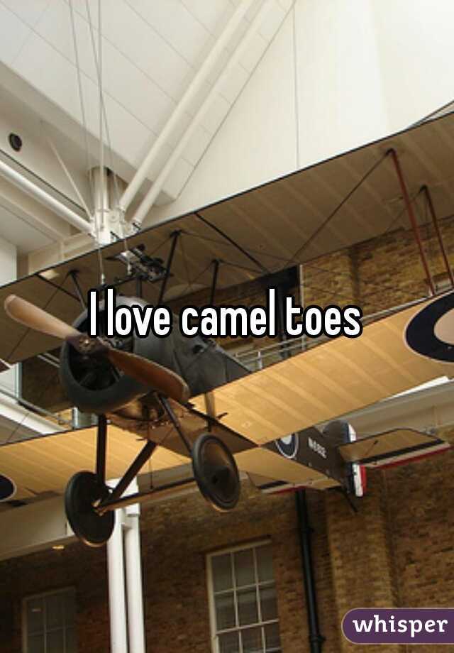 I love camel toes