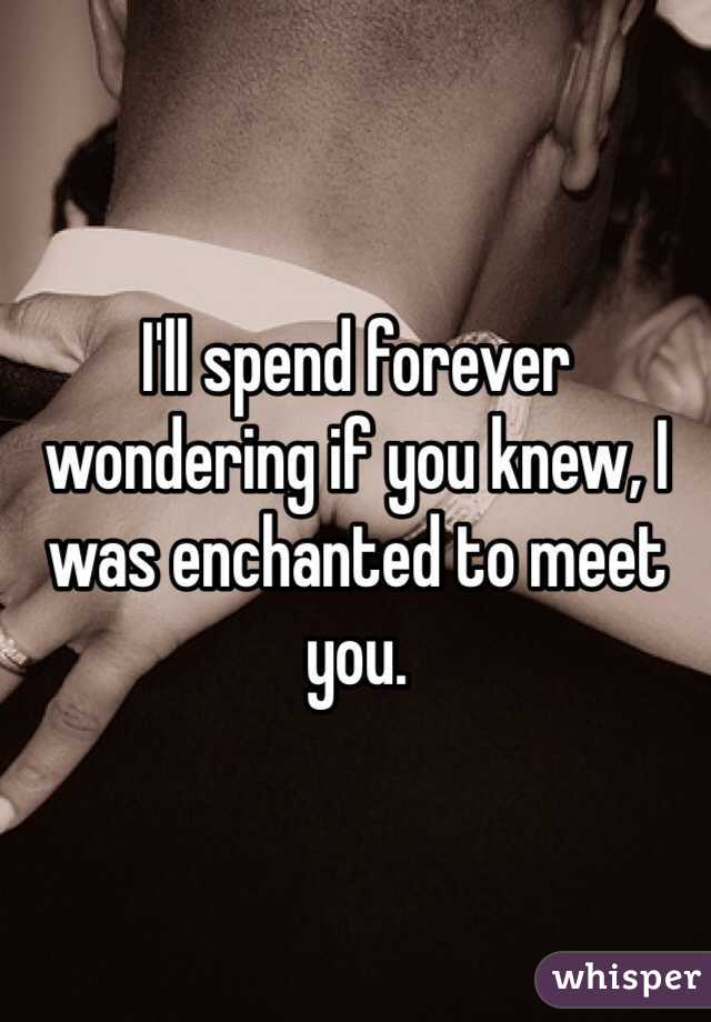 I'll spend forever wondering if you knew, I was enchanted to meet you. 