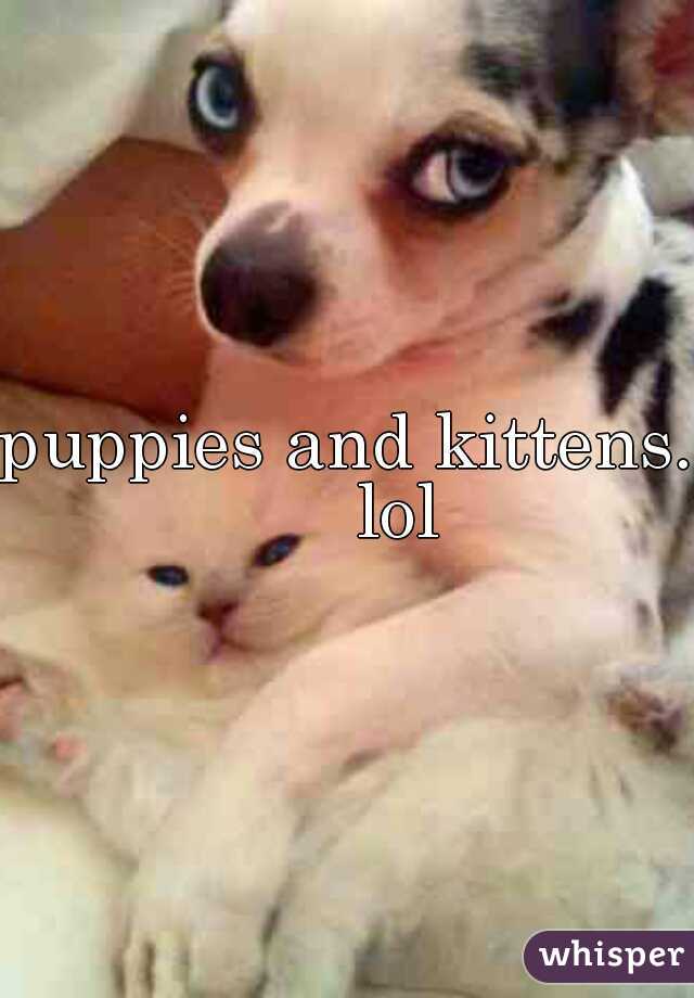 puppies and kittens.     lol