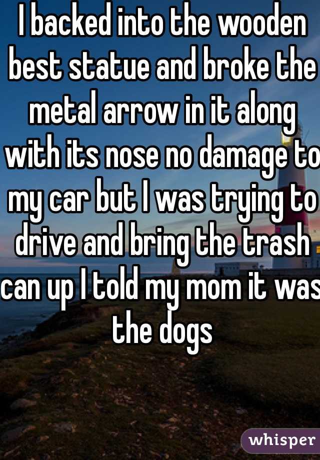 I backed into the wooden best statue and broke the metal arrow in it along with its nose no damage to my car but I was trying to drive and bring the trash can up I told my mom it was the dogs