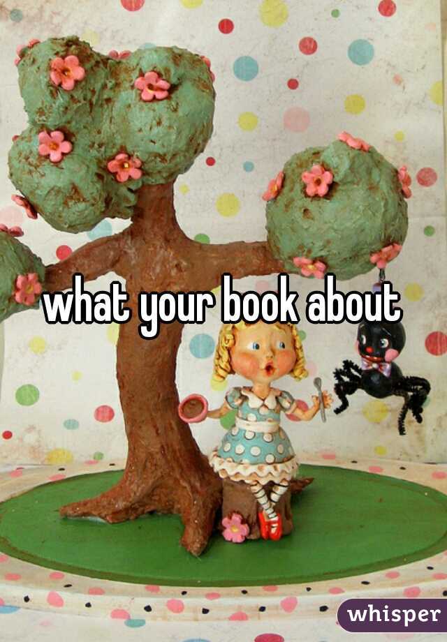 what your book about