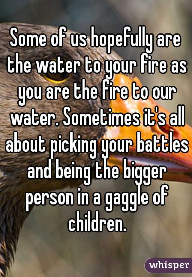 Some of us hopefully are the water to your fire as you are the fire to our water. Sometimes it's all about picking your battles and being the bigger person in a gaggle of children.