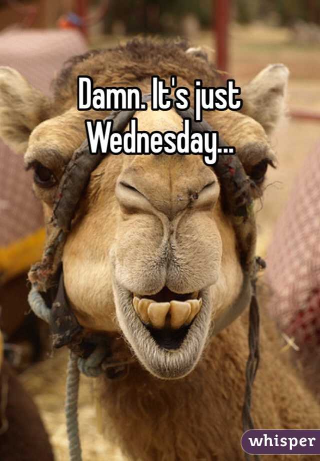 Damn. It's just Wednesday...