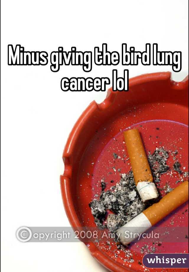 Minus giving the bird lung cancer lol