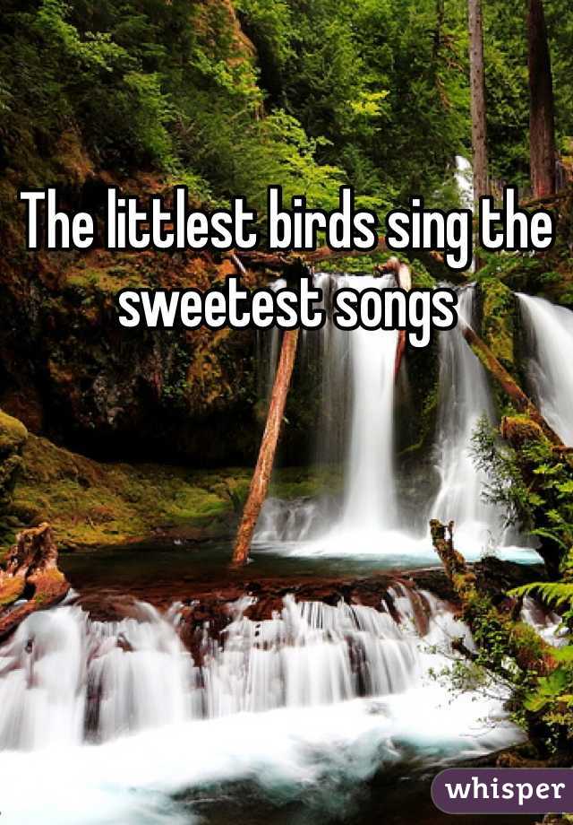 The littlest birds sing the sweetest songs 