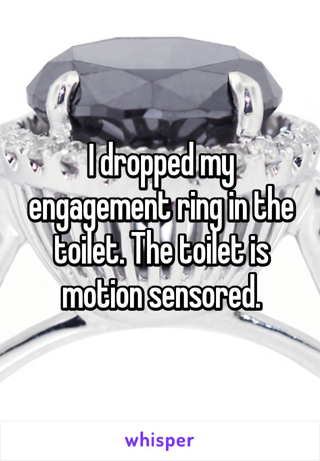 I dropped my engagement ring in the toilet. The toilet is motion sensored.