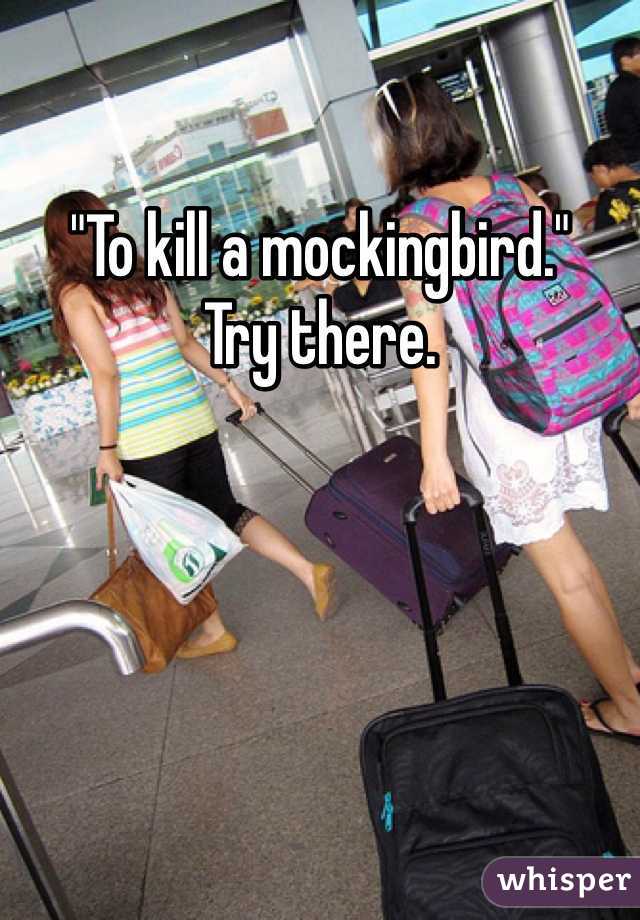 "To kill a mockingbird."
Try there.