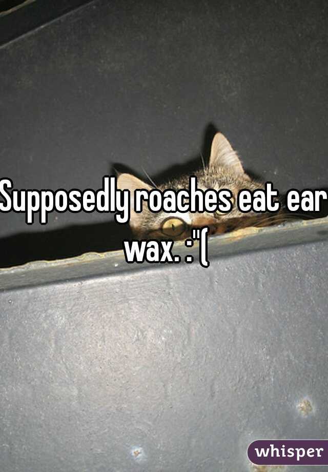 Supposedly roaches eat ear wax. :''(