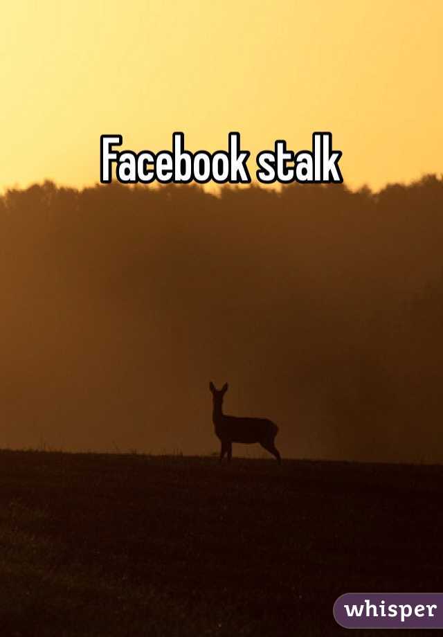 Facebook stalk