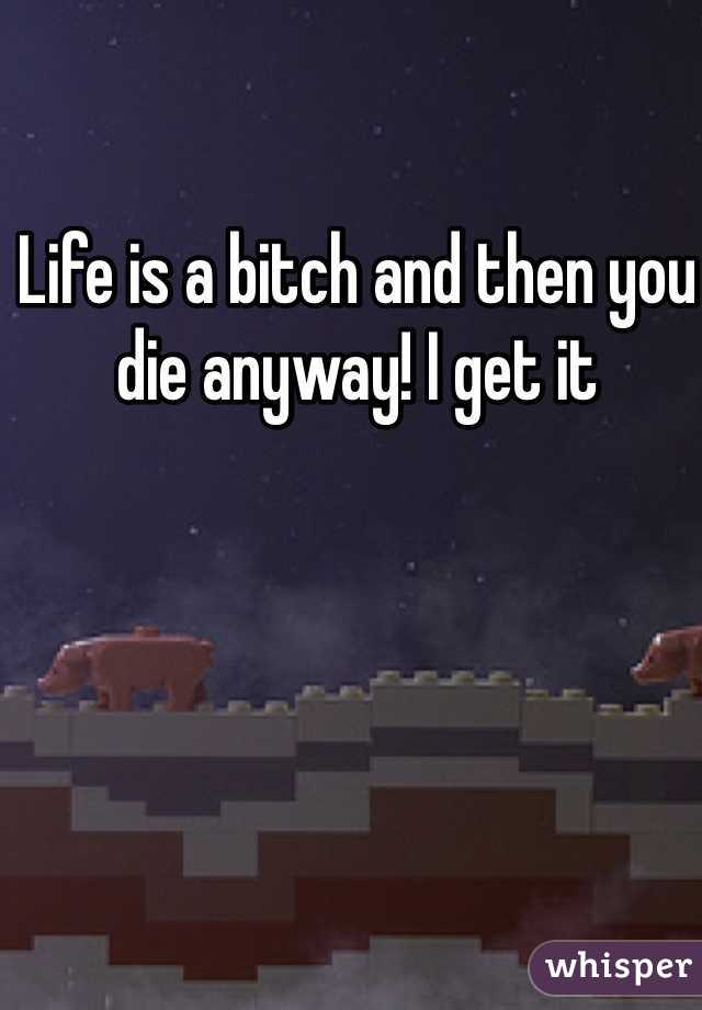 Life is a bitch and then you die anyway! I get it