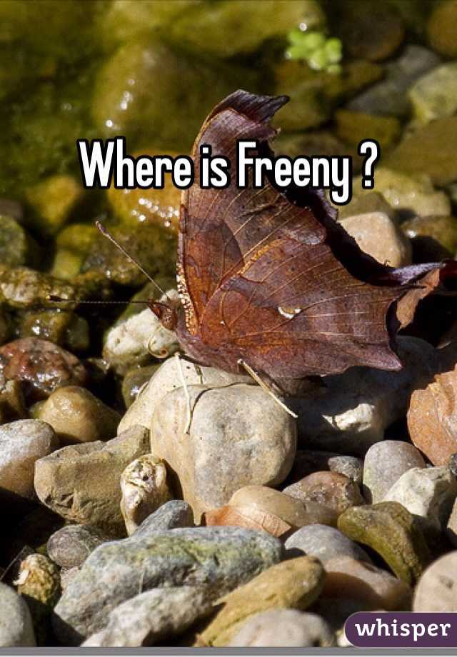 Where is Freeny ?