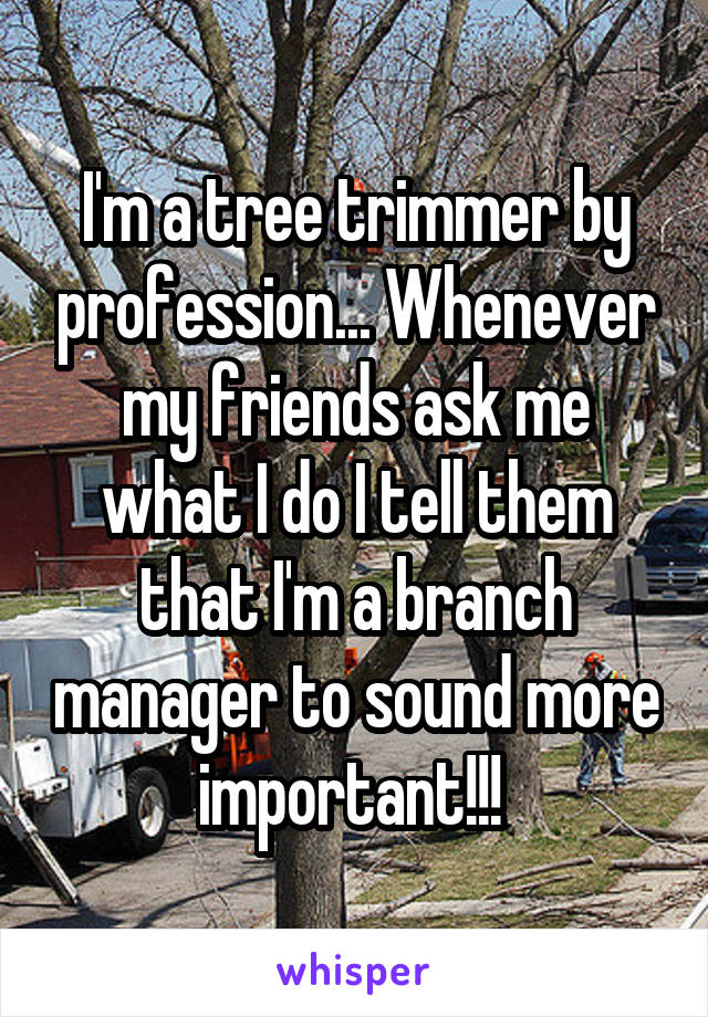 I'm a tree trimmer by profession... Whenever my friends ask me what I do I tell them that I'm a branch manager to sound more important!!! 