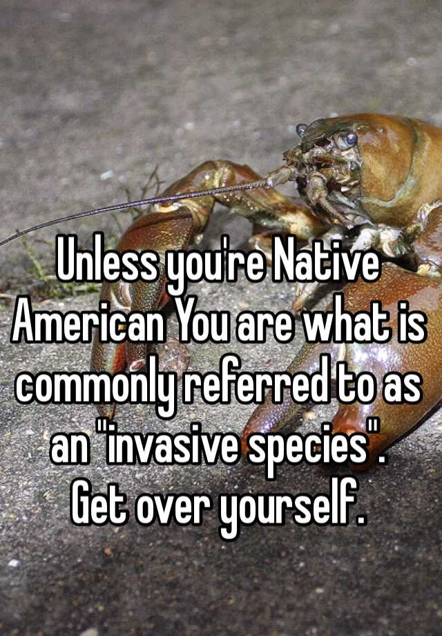 unless-you-re-native-american-you-are-what-is-commonly-referred-to-as