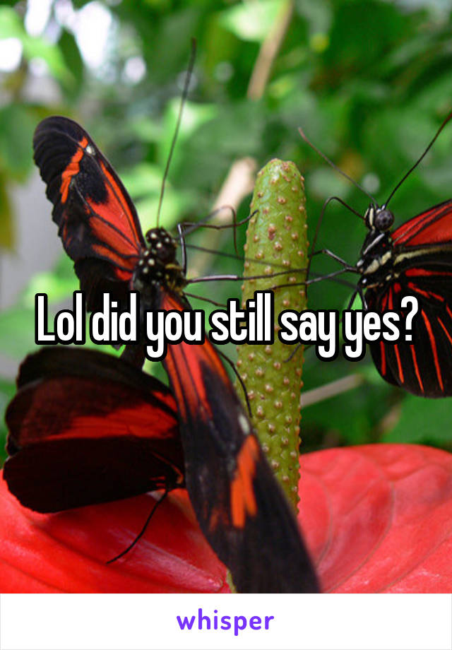 Lol did you still say yes?