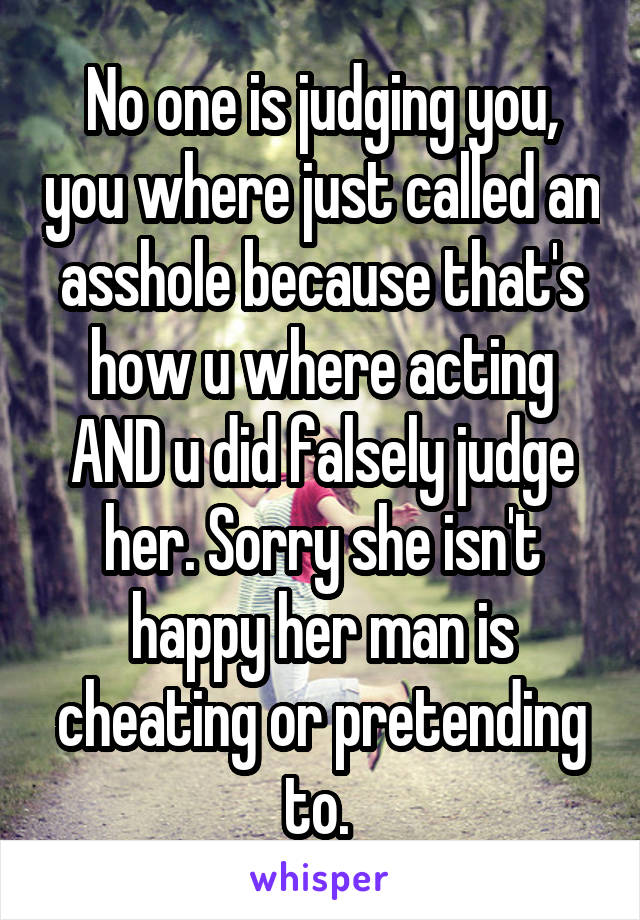 No one is judging you, you where just called an asshole because that's how u where acting AND u did falsely judge her. Sorry she isn't happy her man is cheating or pretending to. 