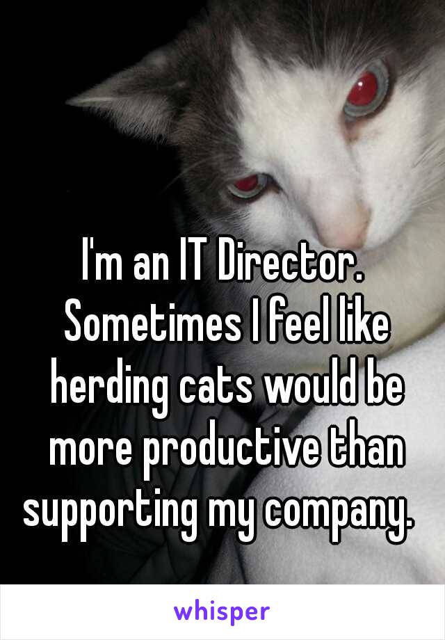 I'm an IT Director. Sometimes I feel like herding cats would be more productive than supporting my company.  