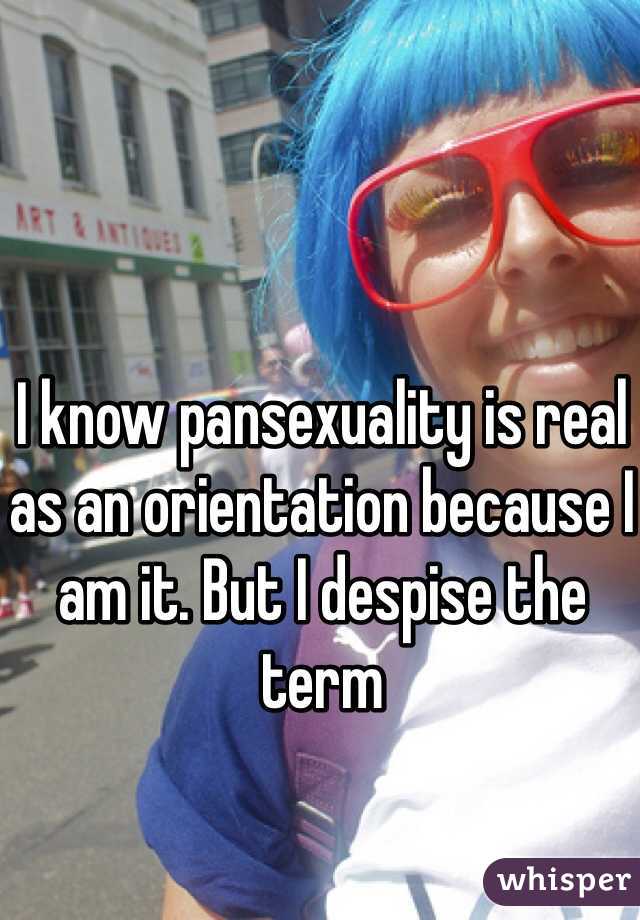 I know pansexuality is real as an orientation because I am it. But I despise the term