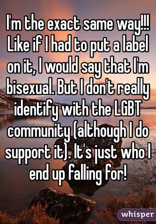 I'm the exact same way!!! Like if I had to put a label on it, I would say that I'm bisexual. But I don't really identify with the LGBT community (although I do support it). It's just who I end up falling for!