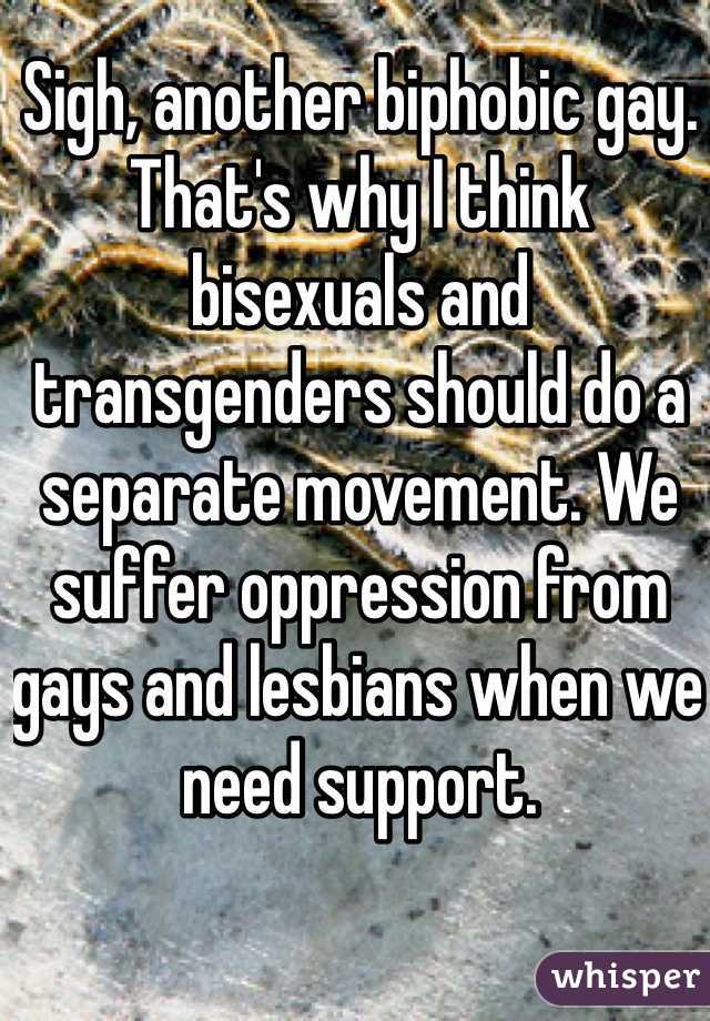 Sigh, another biphobic gay.
That's why I think bisexuals and transgenders should do a separate movement. We suffer oppression from gays and lesbians when we need support.