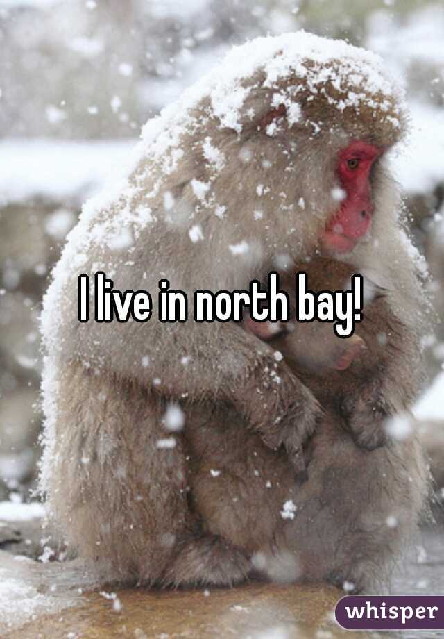 I live in north bay!