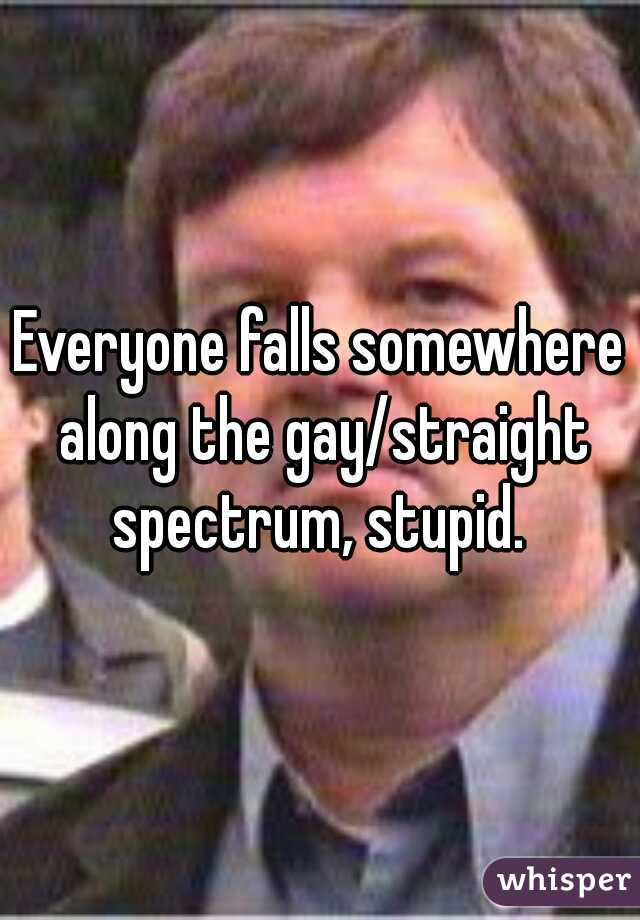 Everyone falls somewhere along the gay/straight spectrum, stupid. 
