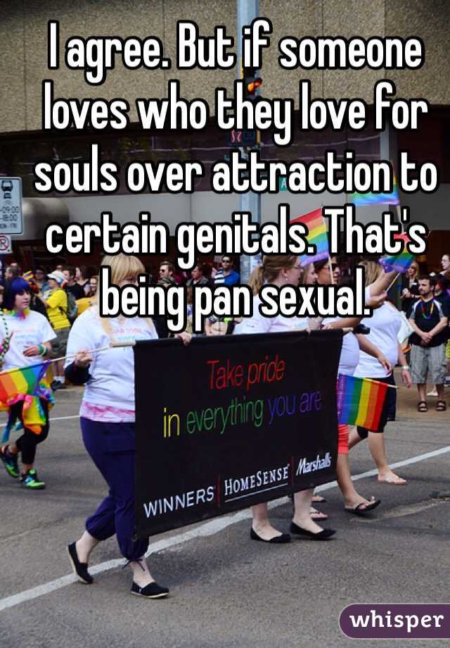 I agree. But if someone loves who they love for souls over attraction to certain genitals. That's being pan sexual. 