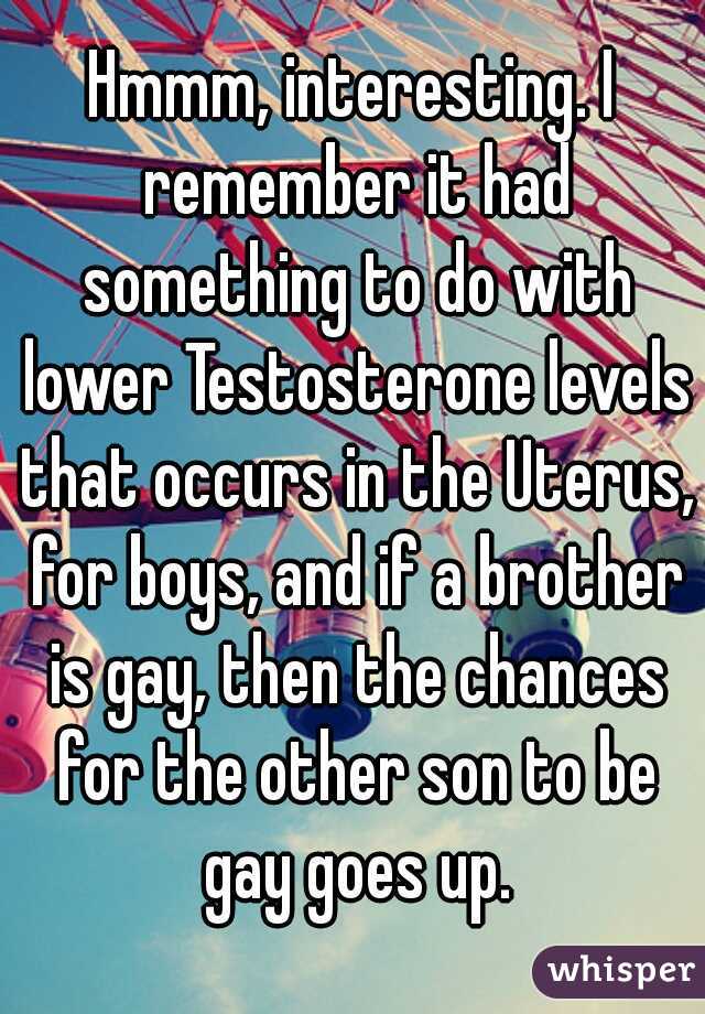 Hmmm, interesting. I remember it had something to do with lower Testosterone levels that occurs in the Uterus, for boys, and if a brother is gay, then the chances for the other son to be gay goes up.