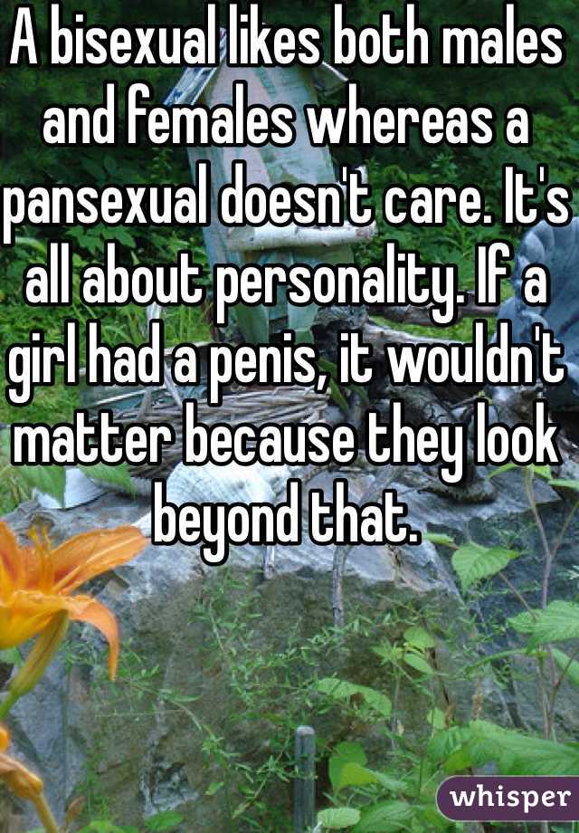 A bisexual likes both males and females whereas a pansexual doesn't care. It's all about personality. If a girl had a penis, it wouldn't matter because they look beyond that. 