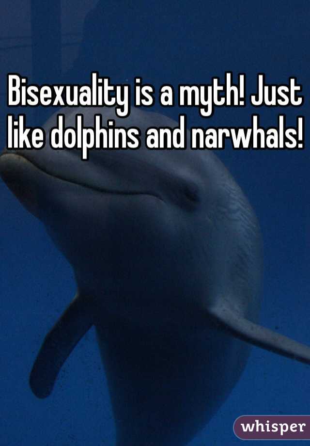 Bisexuality is a myth! Just like dolphins and narwhals!