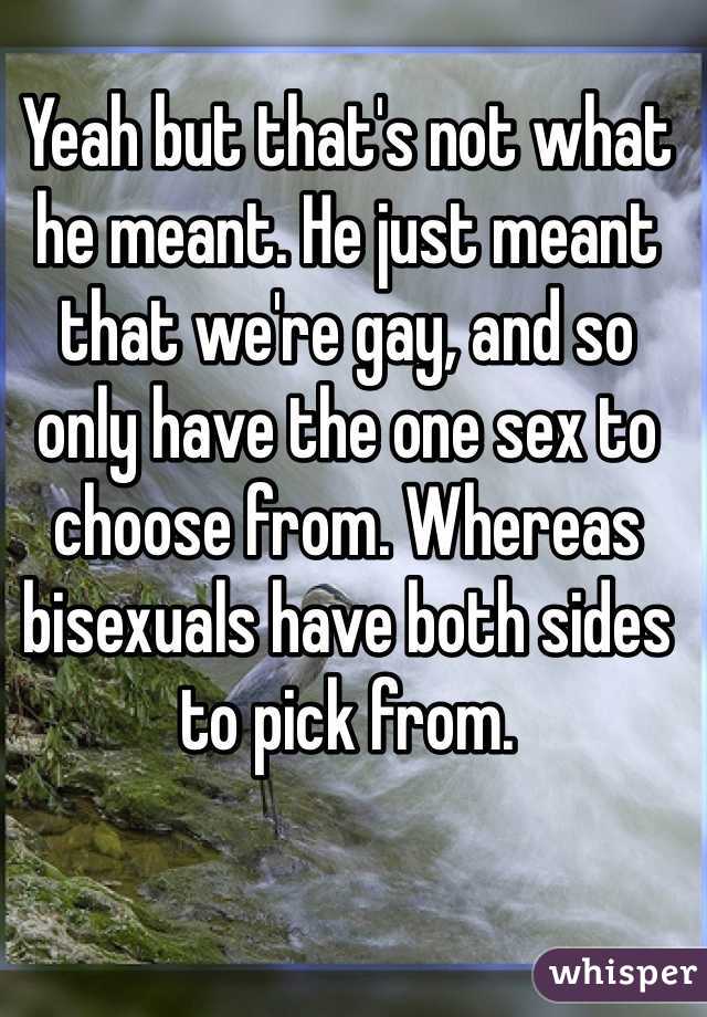 Yeah but that's not what he meant. He just meant that we're gay, and so only have the one sex to choose from. Whereas bisexuals have both sides to pick from. 