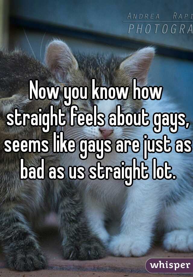 Now you know how straight feels about gays, seems like gays are just as bad as us straight lot.