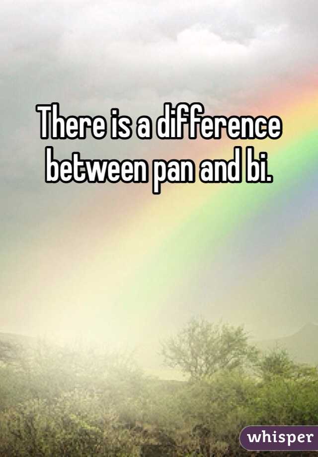 There is a difference between pan and bi. 