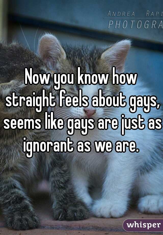 Now you know how straight feels about gays, seems like gays are just as ignorant as we are. 
