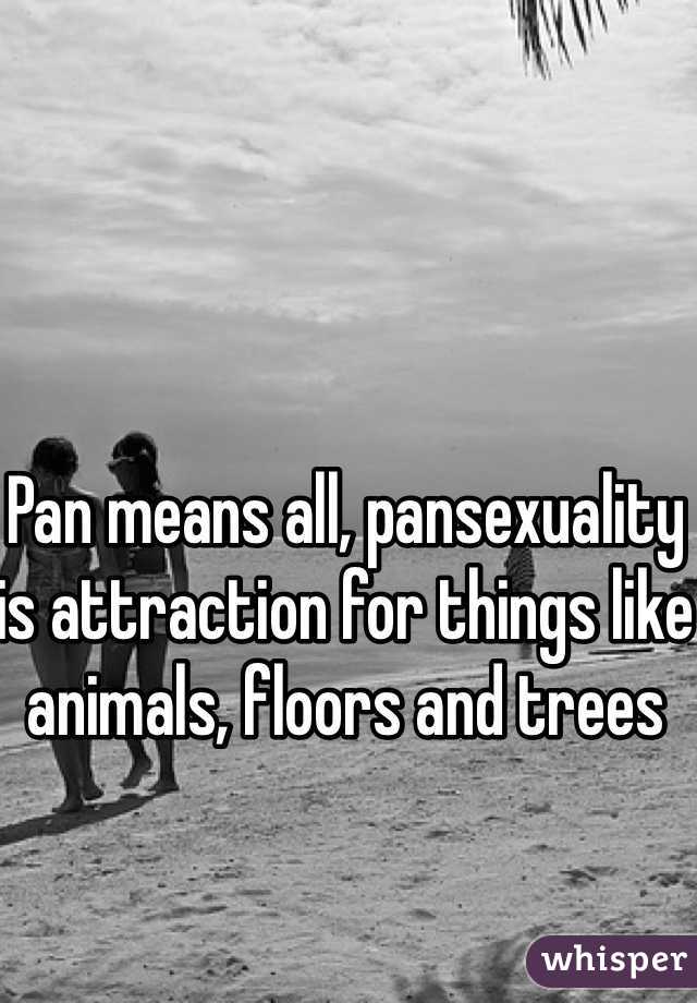 Pan means all, pansexuality is attraction for things like animals, floors and trees
