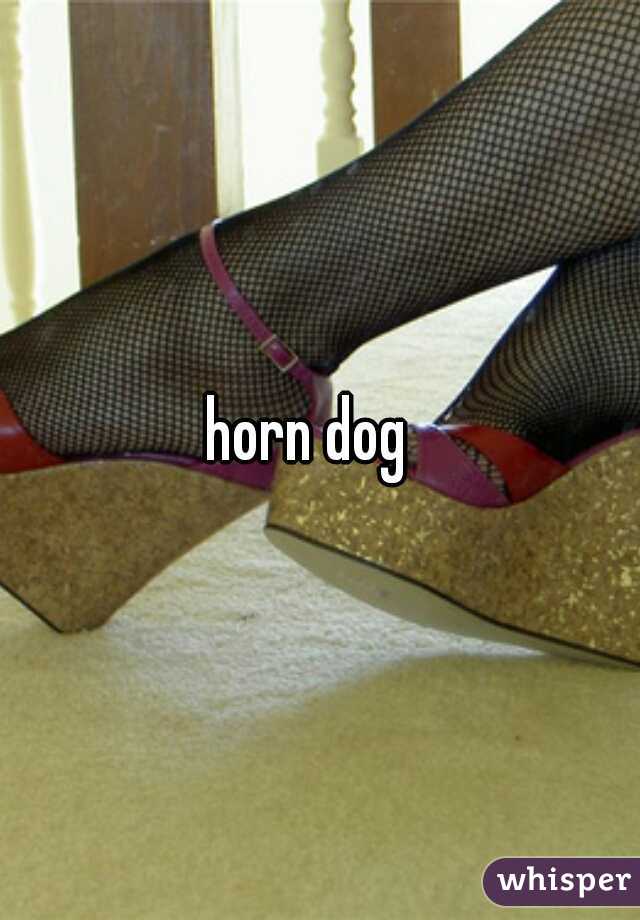 horn dog  