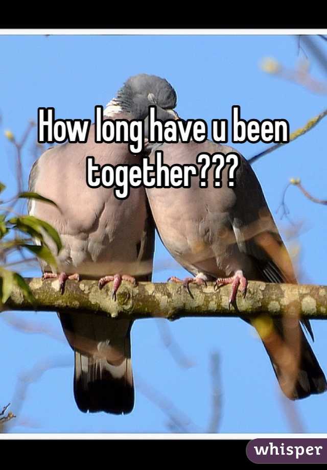 How long have u been together???