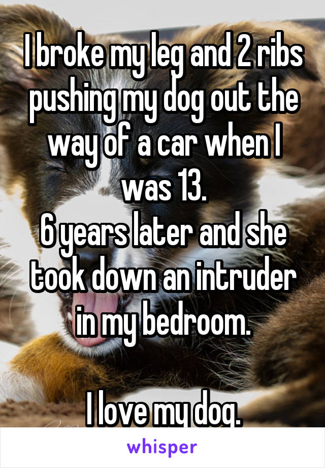 I broke my leg and 2 ribs pushing my dog out the way of a car when I was 13.
6 years later and she took down an intruder in my bedroom.

I love my dog.